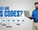 What Are HS Codes